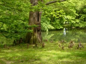 Arboretum Dieck Foto Roland Jacob